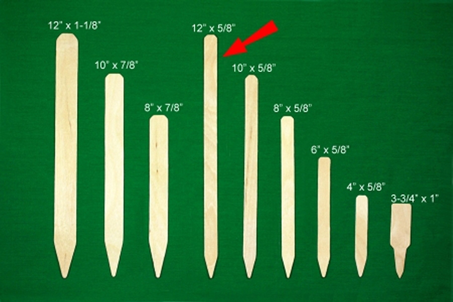 DP Wood Label Plain 12